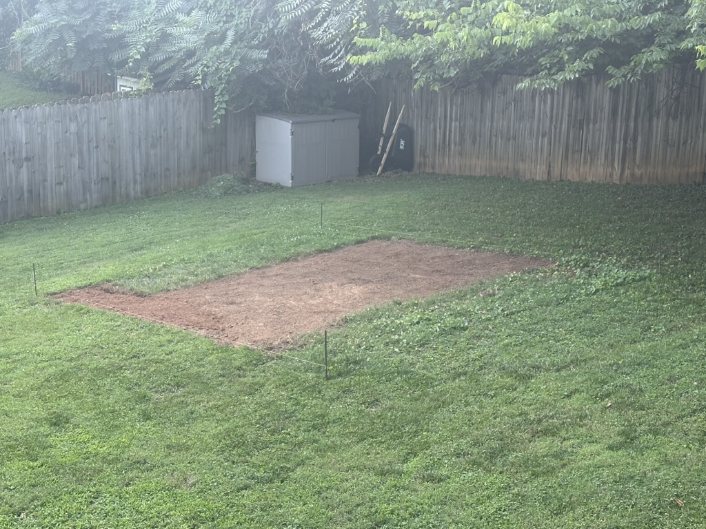 The plot marked out with string in the grass, June 29