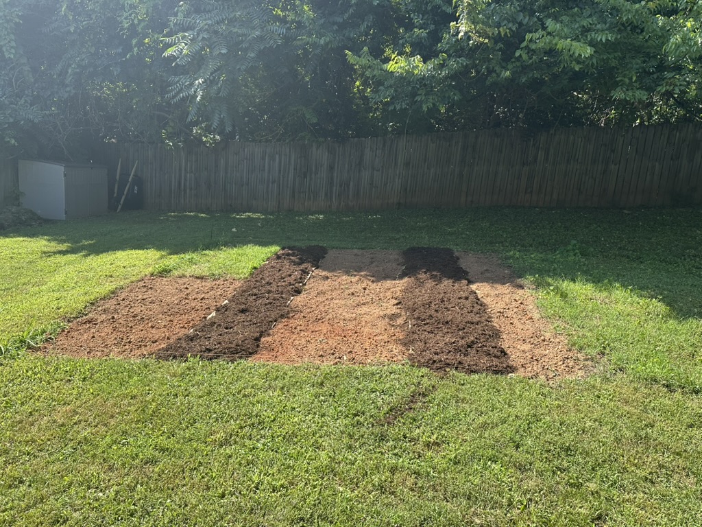 Three bare beds and two mulched paths in afternoon sun, July 21