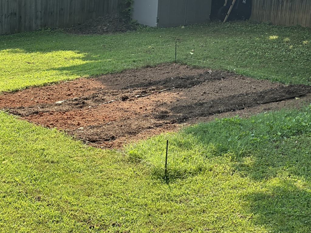 Three beds with dark mulched paths between them, July 29